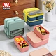 picnic plastic bento lunch box